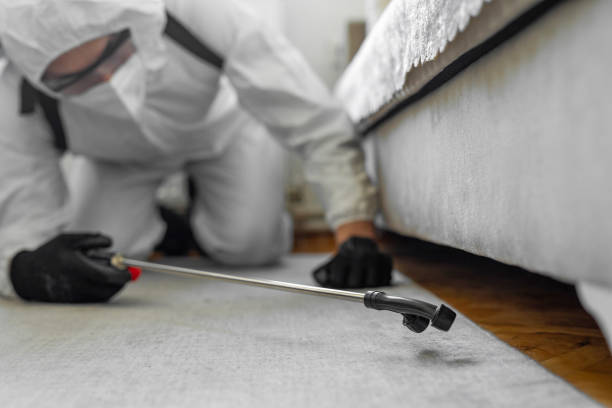 Professional Bed Bug Control technician working in Houma, LA