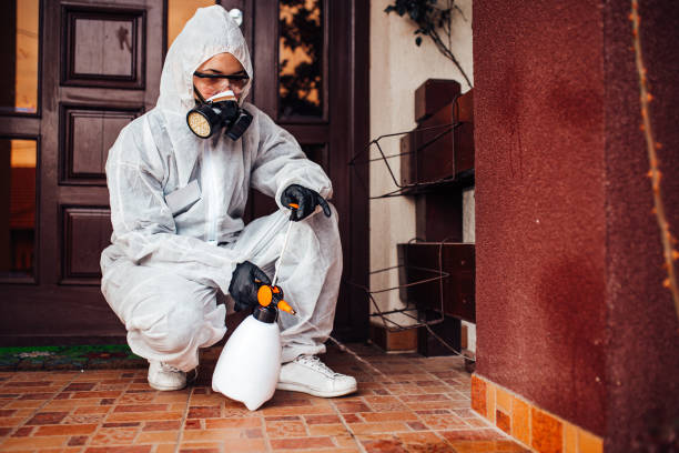 Reliable Bed Bug Control contractor in Houma, LA by Nex Pest Control